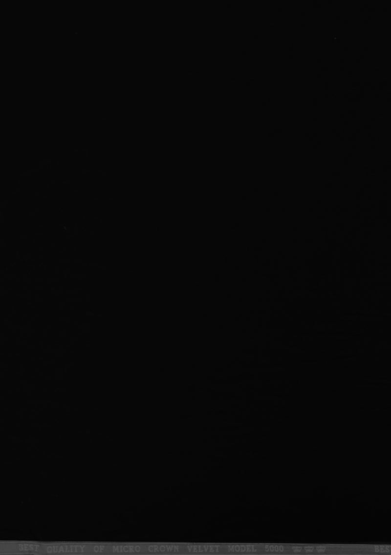 Micro Velvet Plain Fabric 45" Wide Luxury 5000 Grade Velour Non Stretch Dressing (Black)