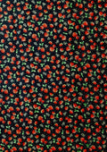 Strawberries + Dots 100% 45"Craft Cotton Poplin Print D#215