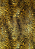 100% 45" Craft Cotton Poplin Animal Skin Dark Leopard Print D#253