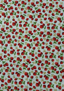 Strawberries + Dots 100% 45"Craft Cotton Poplin Print D