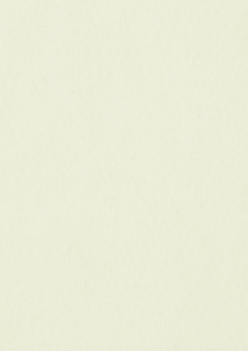 Adhesive Felt Fabric 100% Acrylic UK Made EN71 Certified Sticky Back Material for Arts & Crafts 1mm Thickness | 100cm x 45cm Wide | Sold by The Metre & Roll